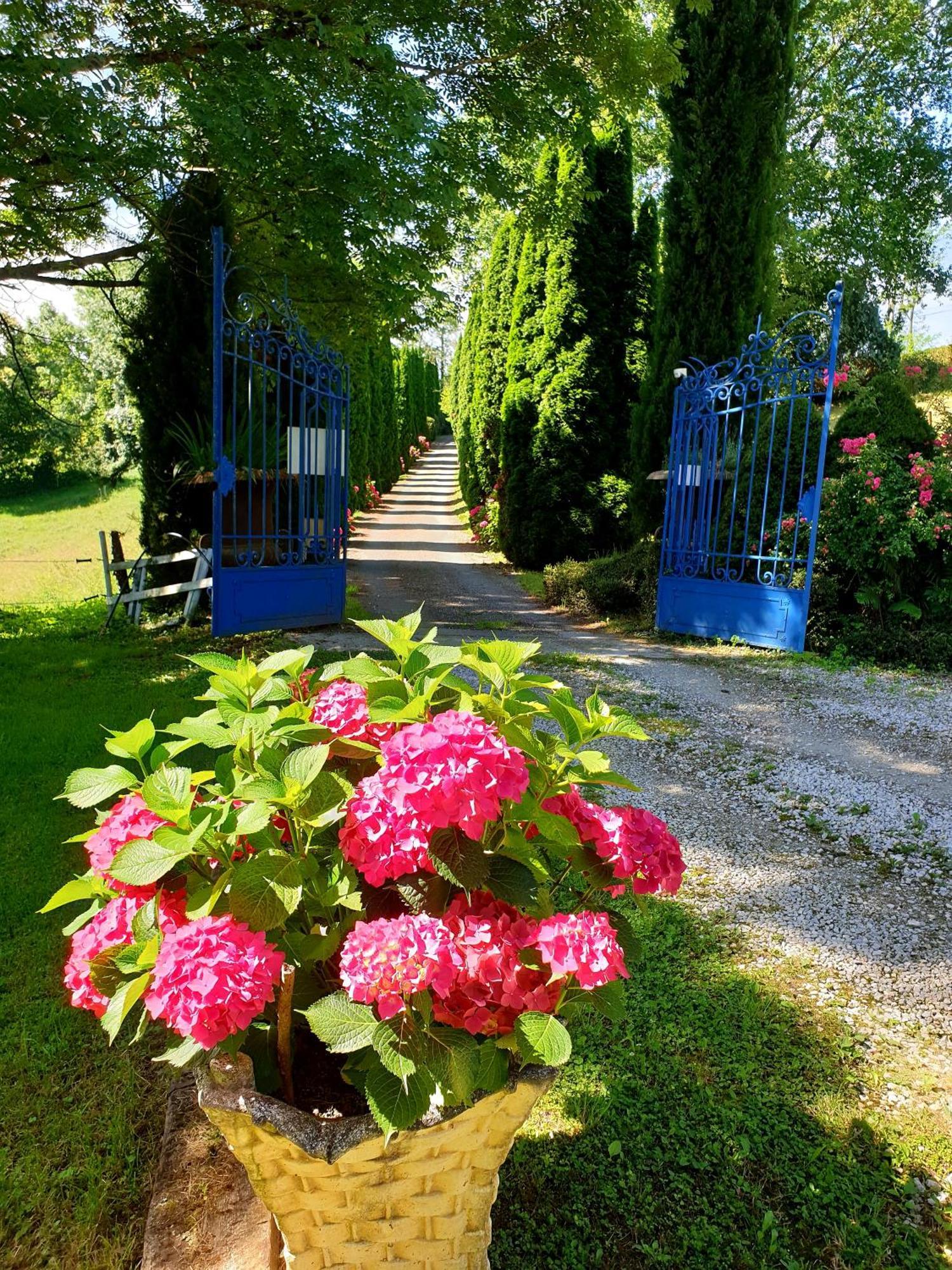 La Ferme De Jeanne Bed & Breakfast Сен-Жирон Екстериор снимка